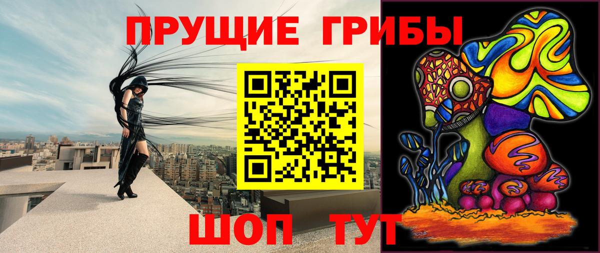 где продают наркотики  Вход с VPN  Владивосток  Галлюциногенные грибы Psilocybe  Псилоцибиновые грибы Psilocybe 