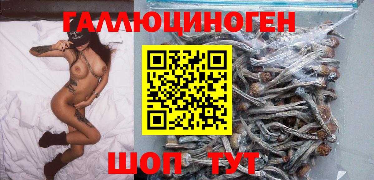 Галлюциногенные грибы Magic Shrooms Владивосток